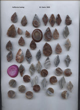 Load image into Gallery viewer, PIEDRA NATURAL DRUZY