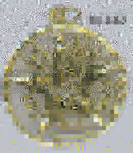 Load image into Gallery viewer, DIJES (VARIEDAD)