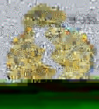 Load image into Gallery viewer, DIJES (VARIEDAD)