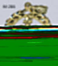 Load image into Gallery viewer, DIJES (VARIEDAD 02)